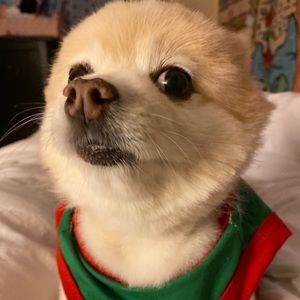 Meet your Posher, Alianna